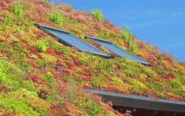 Bell Busk living roof systems